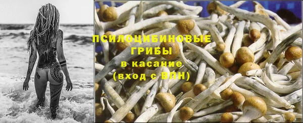 трава Алексин