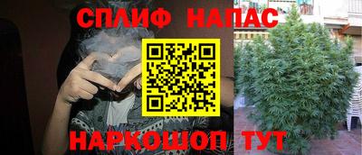 Альфа ПВП Тула