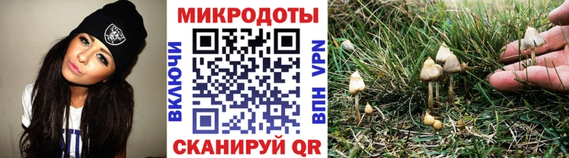 где найти   kraken ССЫЛКА  Псилоцибиновые грибы MAGIC MUSHROOMS  Тара 