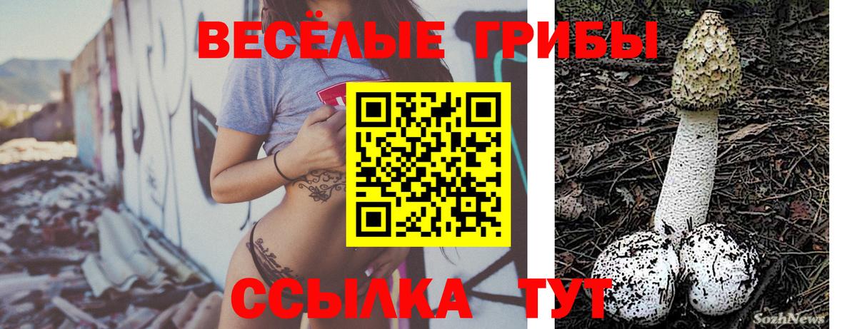 Тара  Псилоцибиновые грибы мицелий  Вход с VPN 