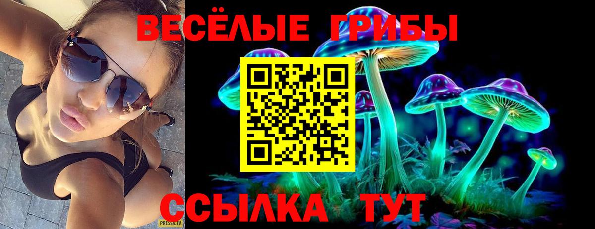 Псилоцибиновые грибы ЛСД Тара